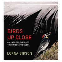 Birds Up Close: An Engineer Explores Their Hidden Wonders