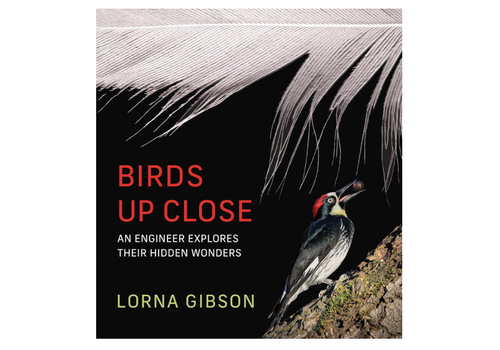  Birds Up Close: An Engineer Explores Their Hidden Wonders 