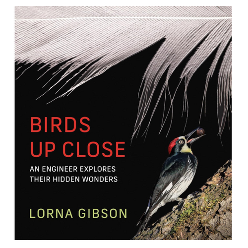  Birds Up Close: An Engineer Explores Their Hidden Wonders 
