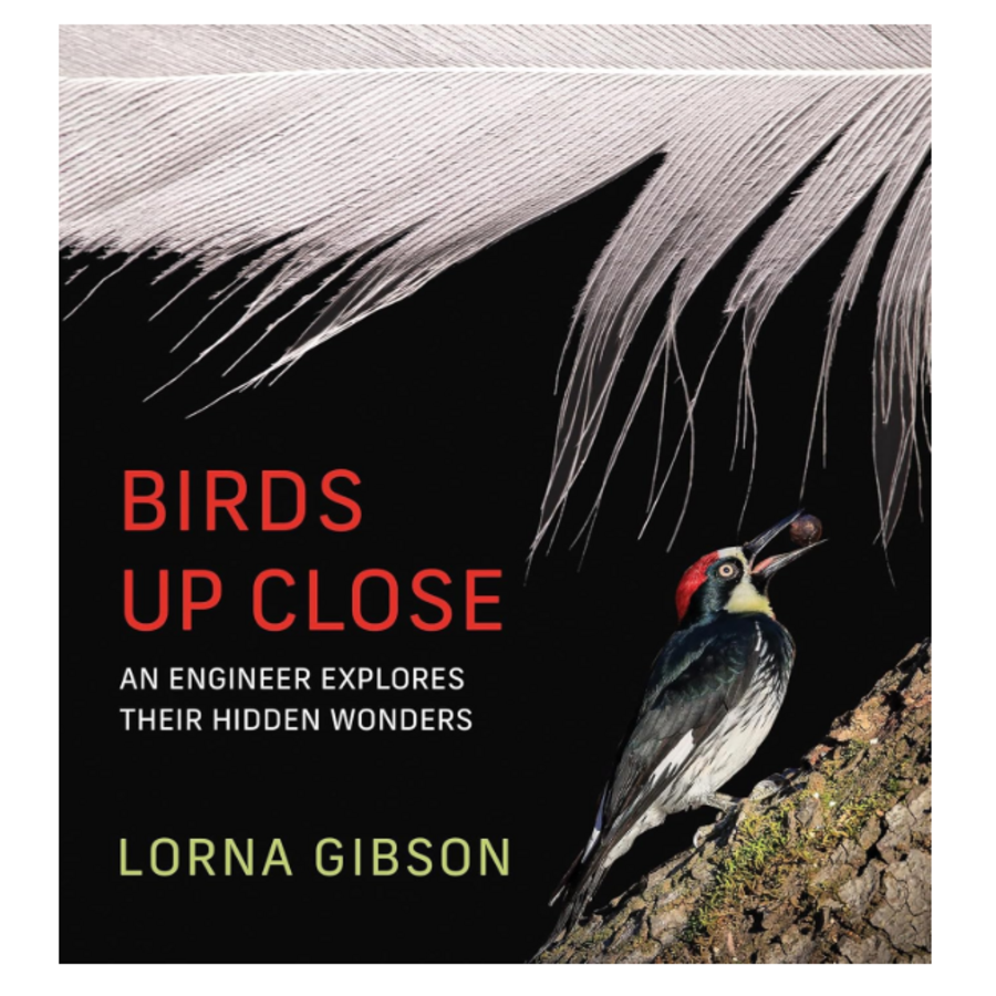 Birds Up Close: An Engineer Explores Their Hidden Wonders