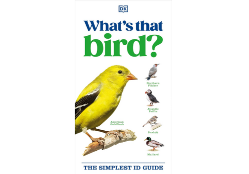  What's that Bird? 