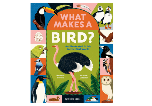  What Makes a Bird?: An Illustrated Guide to the Bird World 