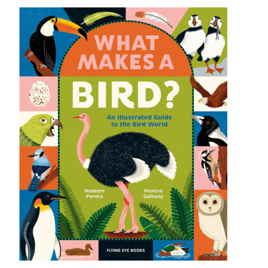 What Makes a Bird?: An Illustrated Guide to the Bird World
