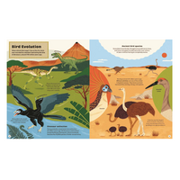 What Makes a Bird?: An Illustrated Guide to the Bird World