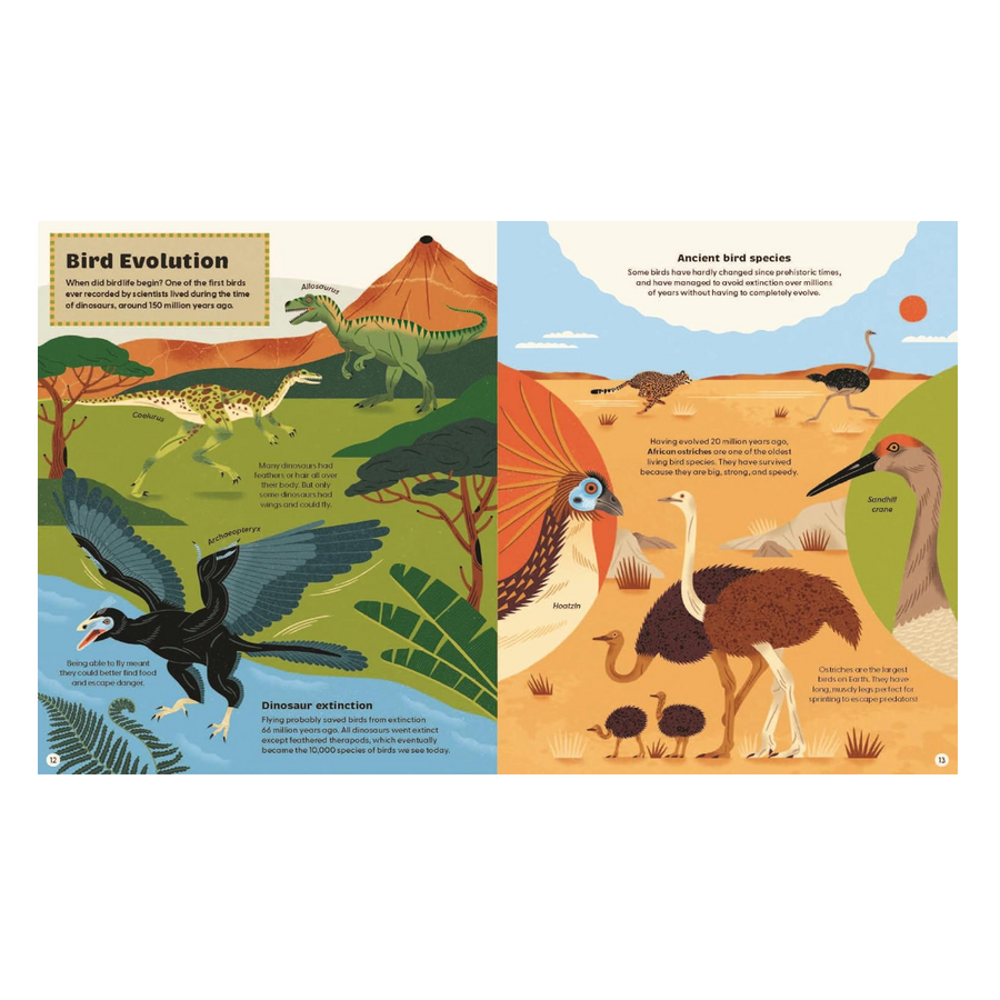 What Makes a Bird?: An Illustrated Guide to the Bird World
