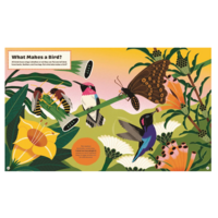 What Makes a Bird?: An Illustrated Guide to the Bird World
