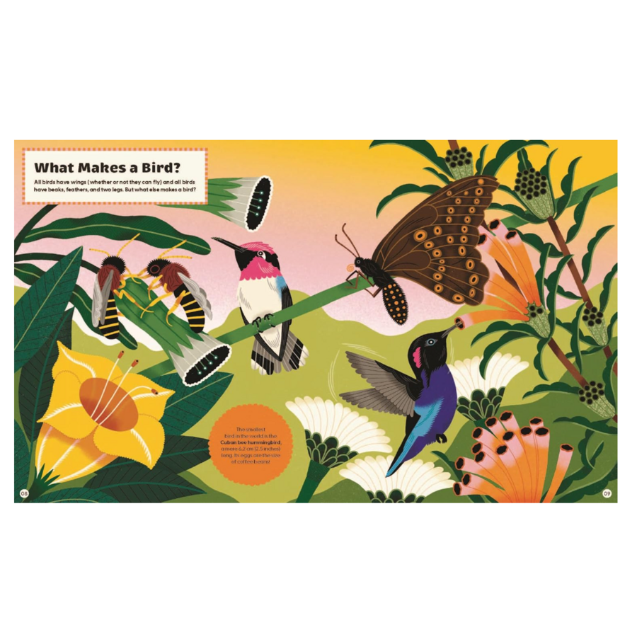 What Makes a Bird?: An Illustrated Guide to the Bird World