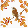 Alice's Cottage Flour Sack Towel Fall Leaves