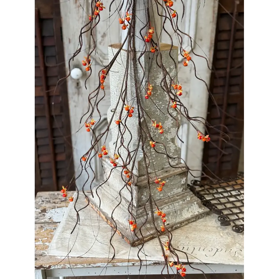 Wild Vine Bittersweet Hanging Vine 5'