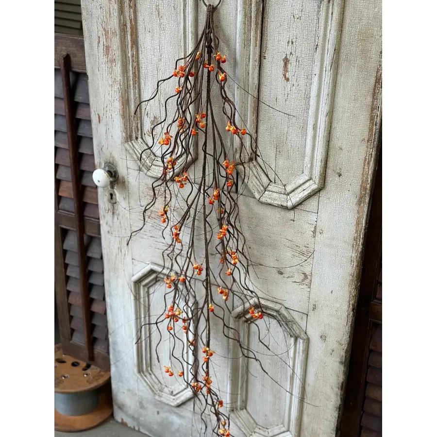Wild Vine Bittersweet Hanging Vine 5'