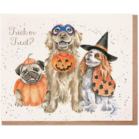 Trick or Treat 3 Dogs Card