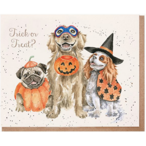  Wrendale Designs Trick or Treat 3 Dogs Card 