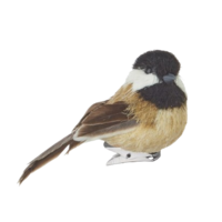 Clip-On Bird Ornament 2.75"