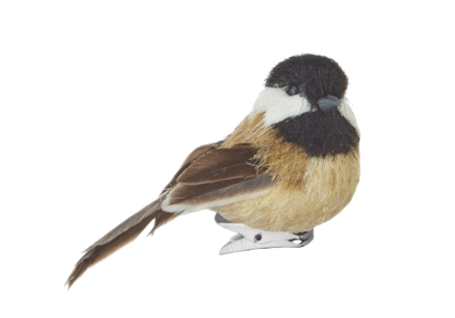  Clip-On Bird Ornament 2.75" 