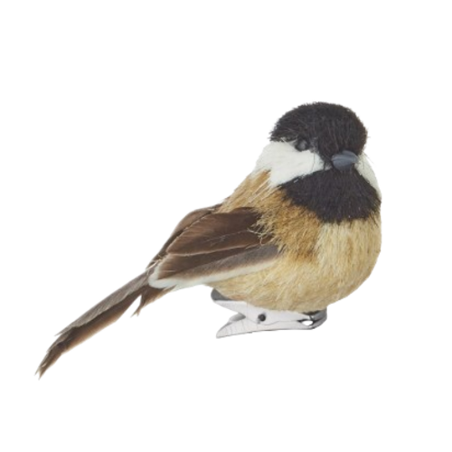  Clip-On Bird Ornament 2.75" 