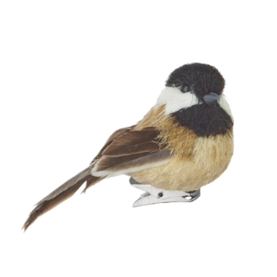 Clip-On Bird Ornament 2.75"