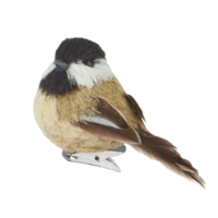 Clip-On Bird Ornament 3.5"