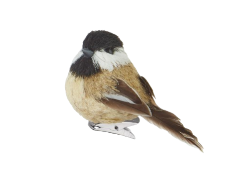  Clip-On Bird Ornament 3.5" 