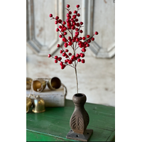 Ruby Rushberry Spray