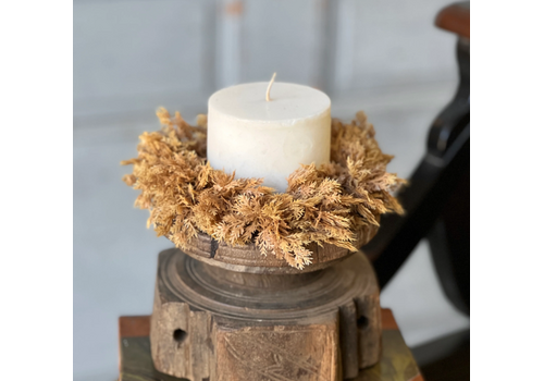  Sungold Candle Ring 6" 