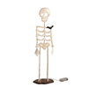 Mud Pie Light Up Skeleton Sitter