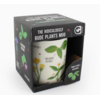 Professor Puzzle Rude Plants Mug