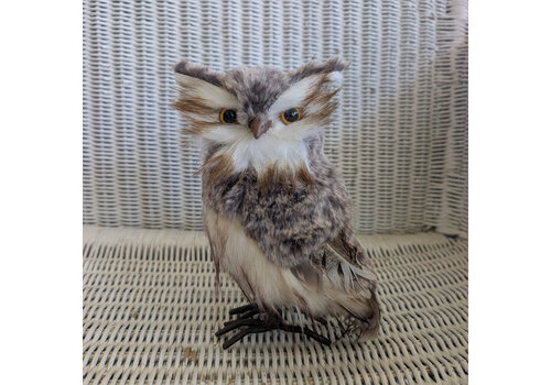  Brown Owl Decor 