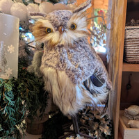 Brown Owl Decor