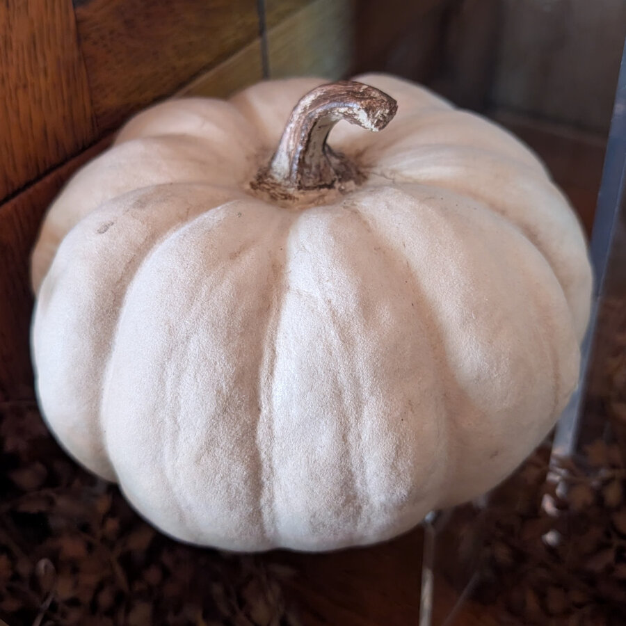 Flocked Pumpkin Decor