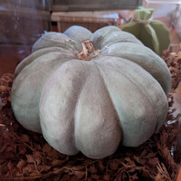 Flocked Pumpkin Decor
