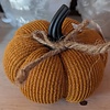 Pumpkin with String Bow