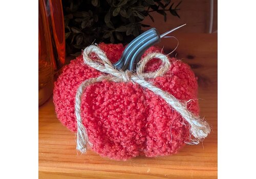  Pumpkin with String Bow 