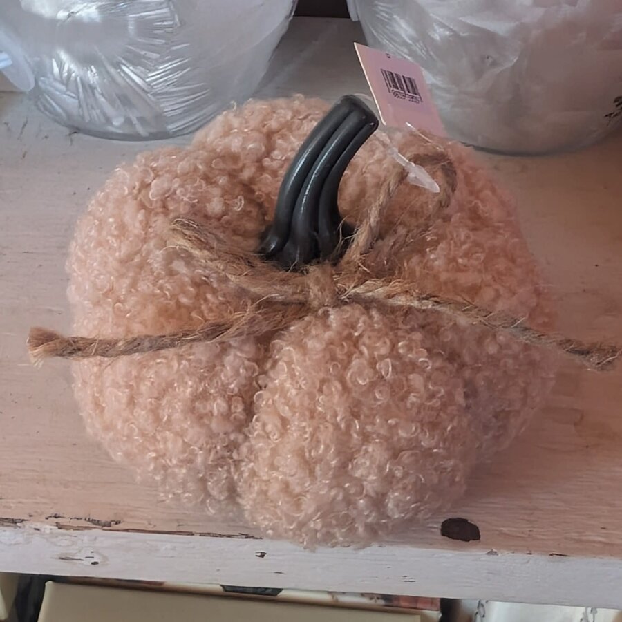 Pumpkin with String Bow
