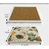 Counter Art/Highland HomeThirstystone Sunflowers and Pumpkins Stone Tumbled Tile Coaster