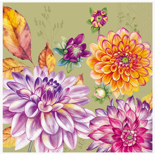  Boston International Paper Cocktail Napkin 20 Ct Dahlia Green Fall 