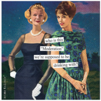 Paper Cocktail Napkins 20 Ct Anne Taintor Moderation