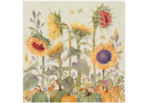  Boston International Paper Cocktail Napkins 20 Ct Sunflowers Fall 
