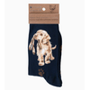 Wrendale Designs Dog Sock Hopeful Navy