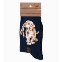 Dog Sock Hopeful Navy