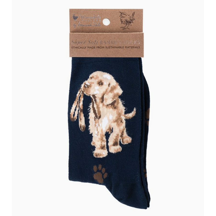 Dog Sock Hopeful Navy