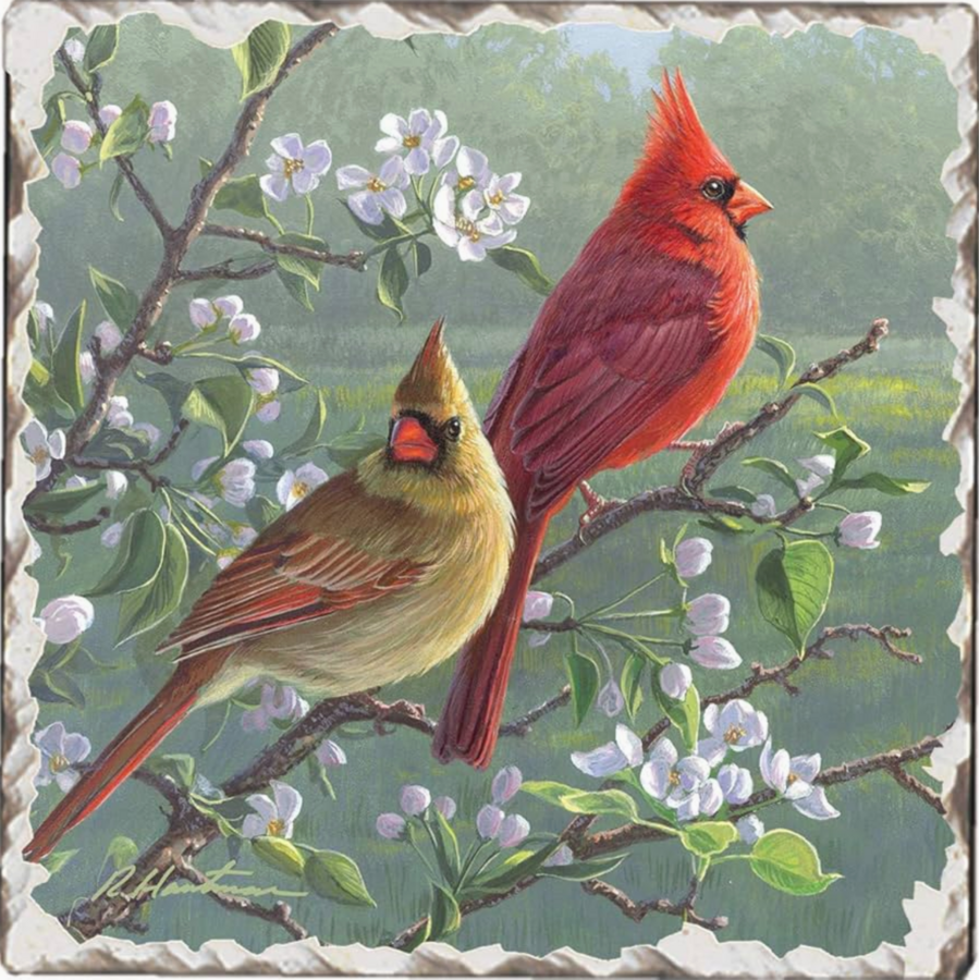 Cardinal Pair Stone Tumbled Tile Coaster