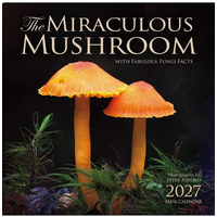 Miraculous Mushroom 2027 Mini Wall Calendar