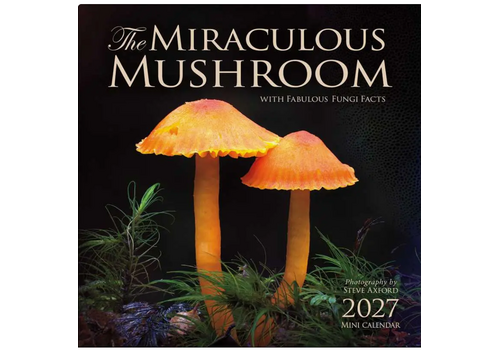  Simon & Schuster Miraculous Mushroom 2027 Mini Wall Calendar 