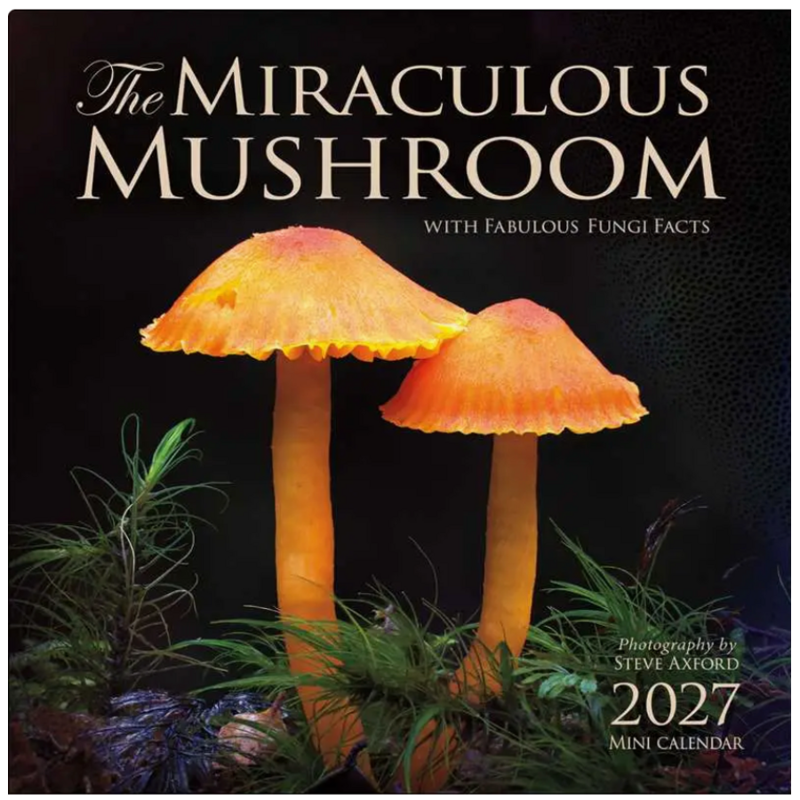 Miraculous Mushroom 2027 Mini Wall Calendar