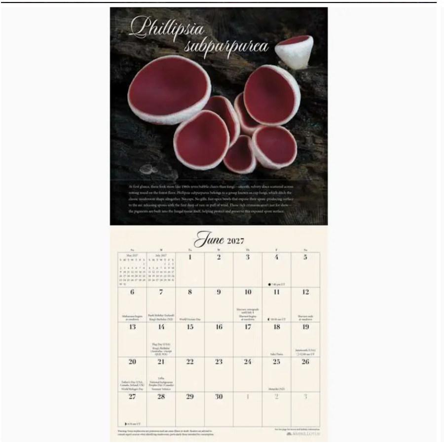 Miraculous Mushroom 2027 Mini Wall Calendar