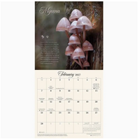 Miraculous Mushroom 2027 Mini Wall Calendar