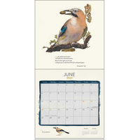 Lost Spells 2027 Wall Calendar