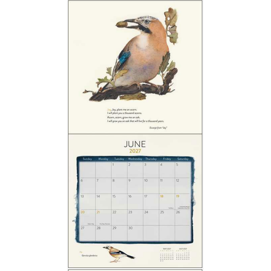 Lost Spells 2027 Wall Calendar