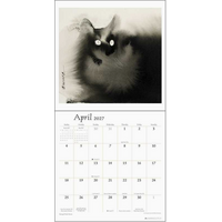 Artful Cat 2027 Wall Calendar