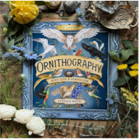 Ornithography 2027 Wall Calendar